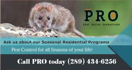 Pest Control Residential Programs